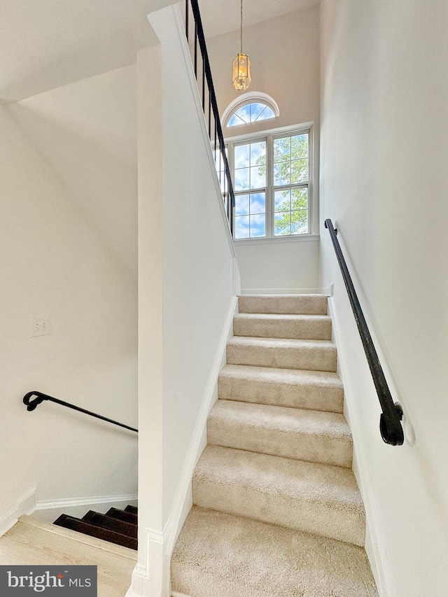 8565 E St, Chesapeake Beach, MD 20732 - stairway with carpet and baseboards