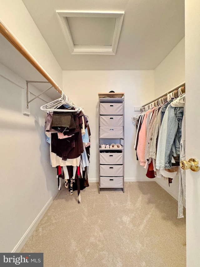 8565 E St, Chesapeake Beach, MD 20732 - walk in closet featuring attic access and carpet floors