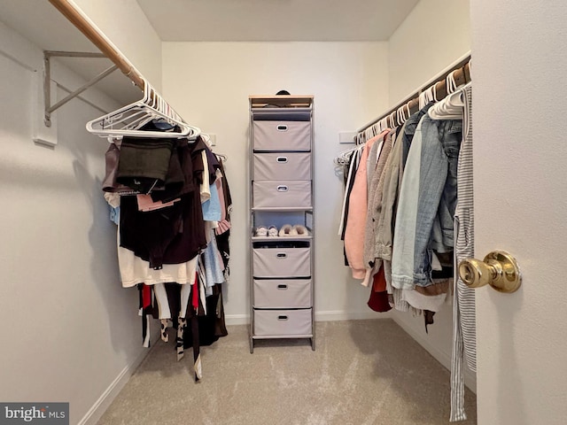 8565 E St, Chesapeake Beach, MD 20732 - walk in closet featuring carpet flooring