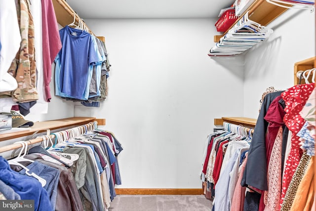 15180 Deborah Dr, Hughesville, MD 20637 - spacious closet featuring carpet