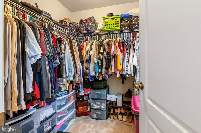 1022 Linden Dr, Hanover, MD 21076 - walk in closet with carpet flooring