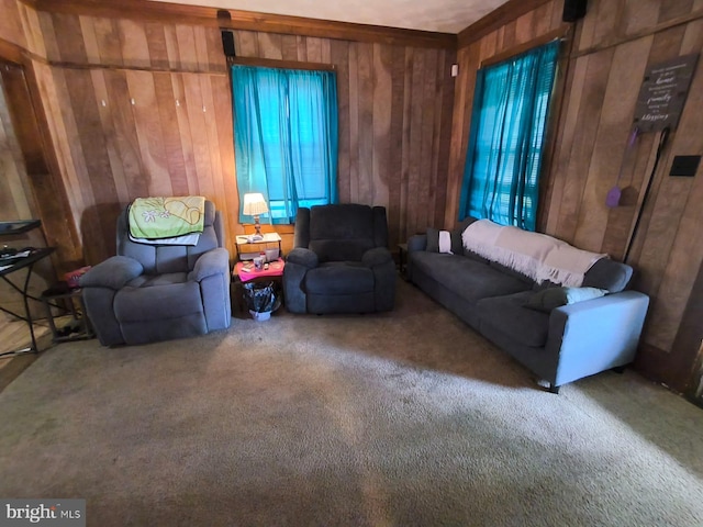 2411 Washington Ave, Victoria, VA 23974 - living area featuring carpet flooring and wooden walls