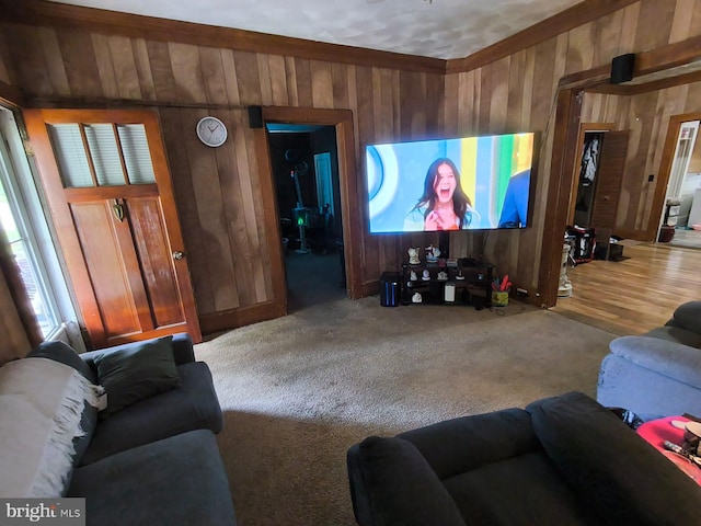 2411 Washington Ave, Victoria, VA 23974 - living room featuring wooden walls and carpet floors