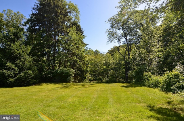 1009 Potts Mill Rd, Bordentown, NJ 08505 - view of grassy yard with a wooded view