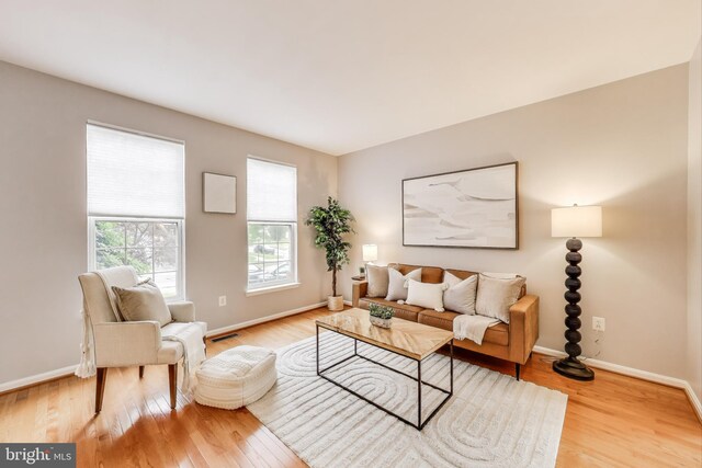 35551 Sarasota St, Round Hill, VA 20141 - living area featuring wood finished floors and baseboards