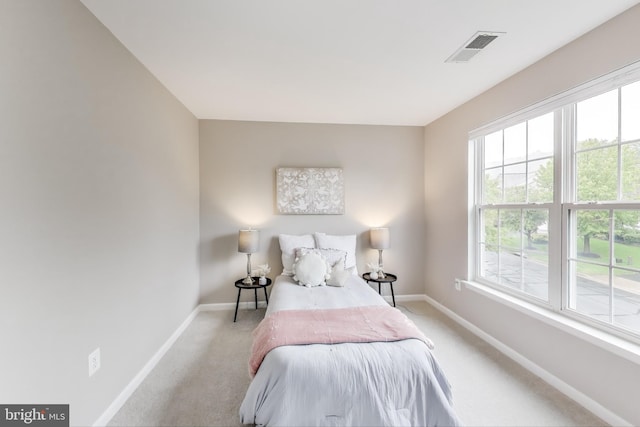 35551 Sarasota St, Round Hill, VA 20141 - bedroom with carpet flooring and baseboards