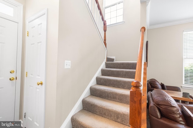 43825 Hickory Corner Ter Unit 104, Ashburn, VA 20147 - stairway featuring crown molding and baseboards