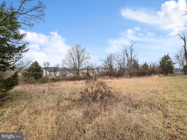 Carters Ln, Stephens City, VA 22655 - view of nature