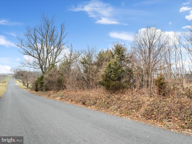 Carters Ln, Stephens City, VA 22655 - view of asphalt street