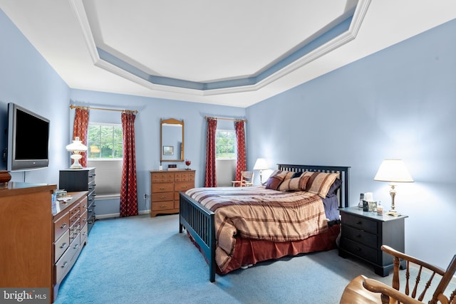 4 Hearthstone Blvd, Pemberton, NJ 08068 - bedroom featuring light carpet, a tray ceiling, and baseboards