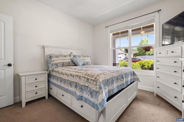 83 Mossy Creek Ct, Zion Crossroads, VA 22942 - bedroom featuring carpet and baseboards