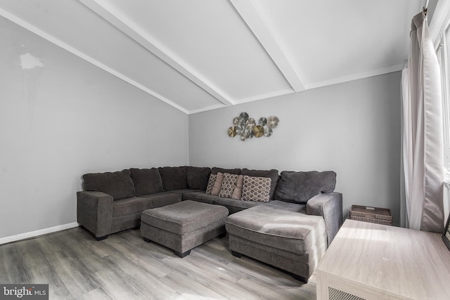 521 Rhode Island Ave, Cherry Hill, NJ 08002 - living room with wood finished floors