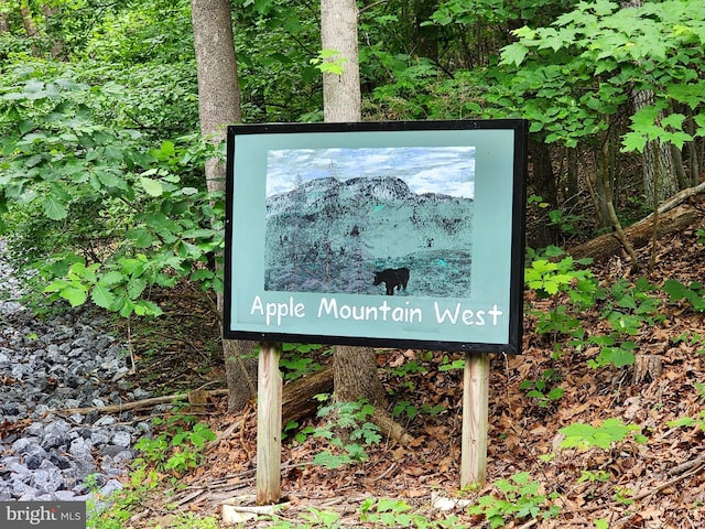 LOT65 Brandy Rd, Front Royal, VA 22630
