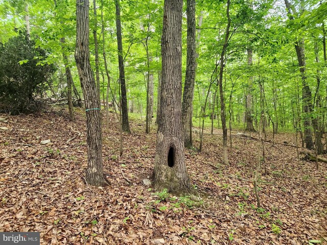 LOT65 Brandy Rd, Front Royal, VA 22630