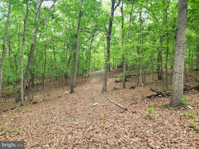 LOT65 Brandy Rd, Front Royal, VA 22630