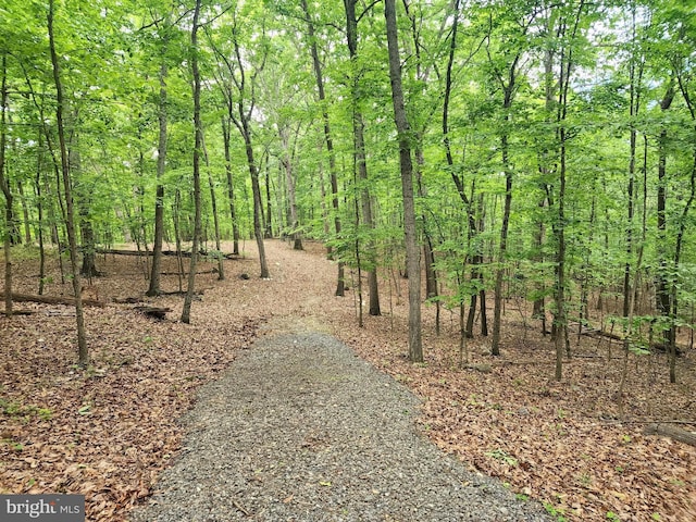 LOT65 Brandy Rd, Front Royal, VA 22630