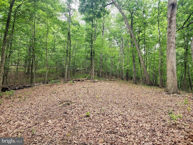 LOT65 Brandy Rd, Front Royal, VA 22630