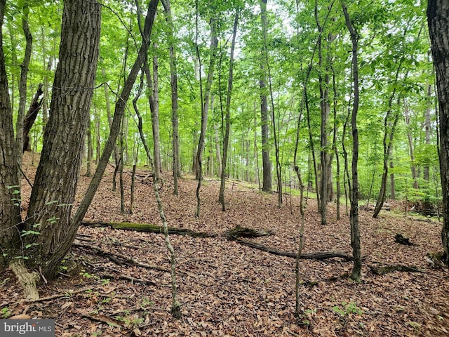 LOT65 Brandy Rd, Front Royal, VA 22630