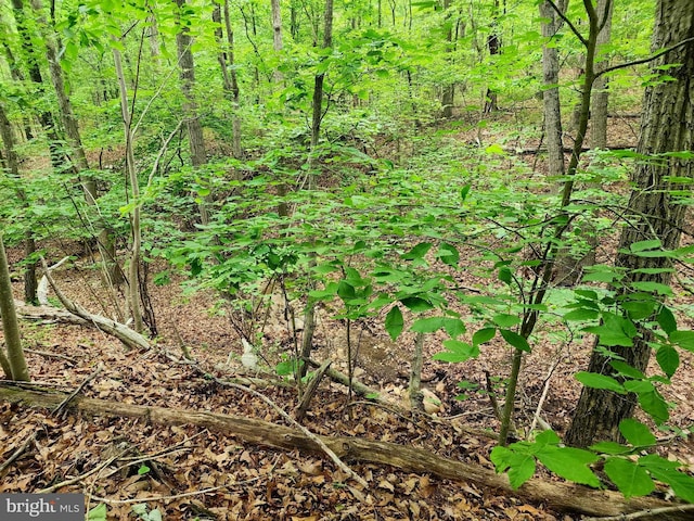 LOT65 Brandy Rd, Front Royal, VA 22630