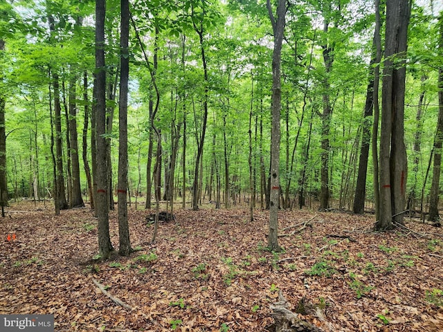 LOT65 Brandy Rd, Front Royal, VA 22630