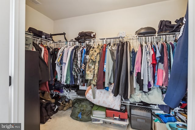 39 Grain Ct, Magnolia, DE 19962 - spacious closet with carpet floors