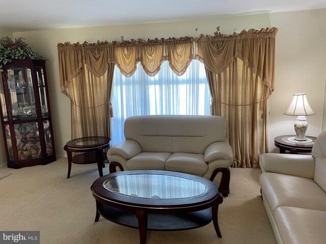 333 Sussex Blvd, Broomall, PA 19008 - view of carpeted living room