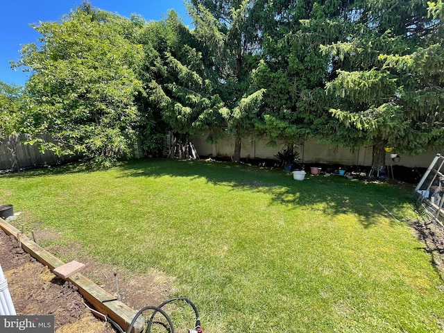333 Sussex Blvd, Broomall, PA 19008 - view of yard