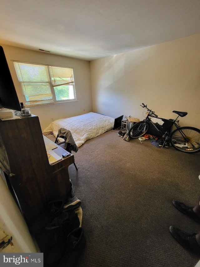 6 Florence Tollgate, Florence, NJ 08518 - view of carpeted bedroom