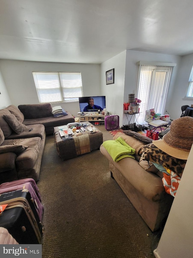 6 Florence Tollgate, Florence, NJ 08518 - view of carpeted living room