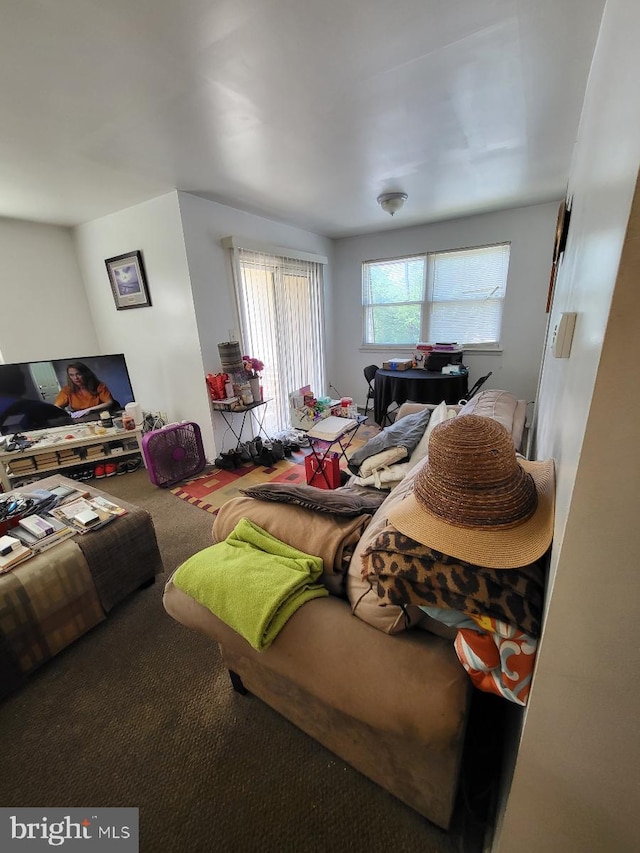 6 Florence Tollgate, Florence, NJ 08518 - view of carpeted living room