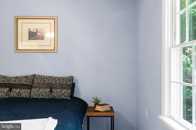 1597 Woodfield Dr, Bethlehem, PA 18015 - bedroom featuring multiple windows