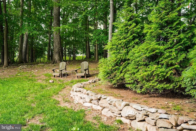 1597 Woodfield Dr, Bethlehem, PA 18015 - view of yard