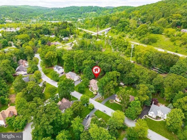 1597 Woodfield Dr, Bethlehem, PA 18015 - bird's eye view of a heavily wooded area
