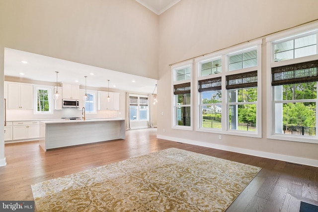 24153 Heartleaf Rd, Frankford, DE 19945 - unfurnished living room featuring plenty of natural light, light wood-type flooring, baseboards, ornamental molding, and a towering ceiling