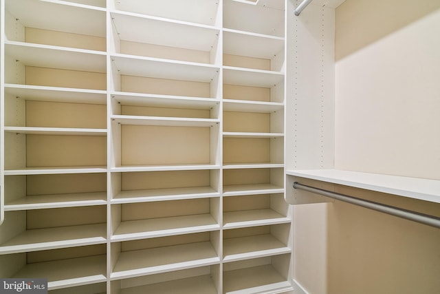 24153 Heartleaf Rd, Frankford, DE 19945 - view of walk in closet