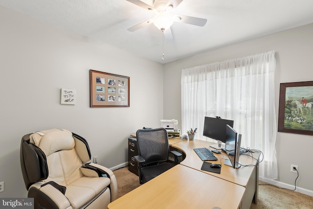 1419 Ramseur Ln, Winchester, VA 22601 - office area with carpet, a ceiling fan, and baseboards