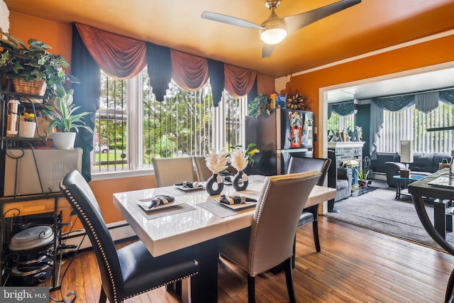 232 Columbia Ave, Trenton, NJ 08618 - dining area with a ceiling fan, healthy amount of natural light, wood-type flooring, and a fireplace
