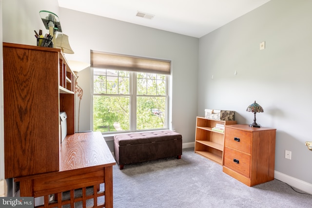 1000 Fountainview Cir Unit 304, Newark, DE 19713 - carpeted office space featuring baseboards