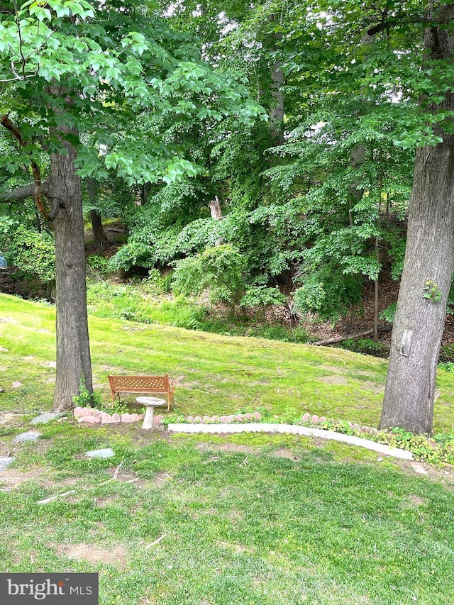435 Kismet Ter, Philadelphia, PA 19115 - view of grassy yard