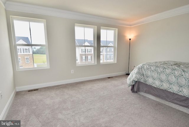 35258 Wright Way, Millsboro, DE 19966 - carpeted bedroom with ornamental molding and baseboards