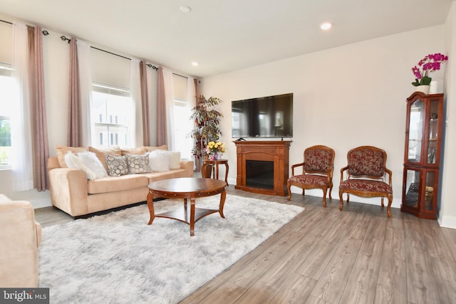 35258 Wright Way, Millsboro, DE 19966 - living area featuring plenty of natural light, light wood finished floors, a fireplace, baseboards, and recessed lighting