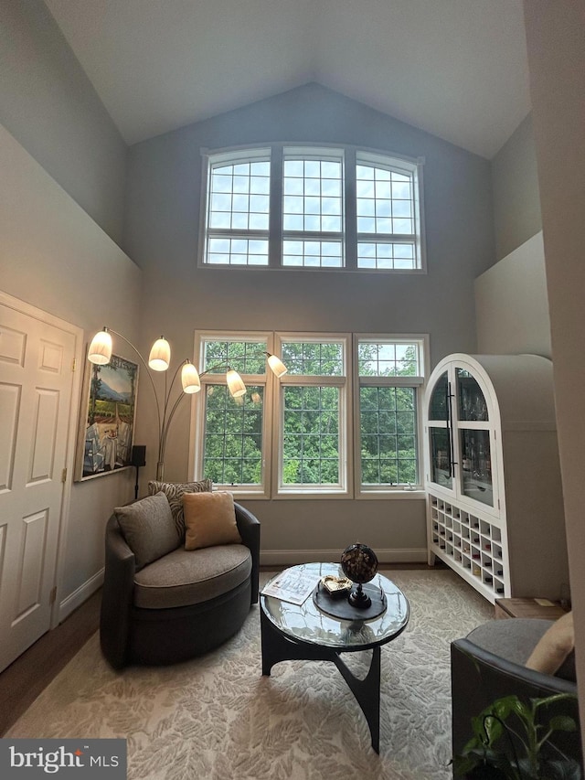 8820 Shining Oceans Way Unit 407, Columbia, MD 21045 - living area featuring high vaulted ceiling, plenty of natural light, and wood finished floors