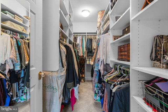 8820 Shining Oceans Way Unit 407, Columbia, MD 21045 - spacious closet featuring carpet floors
