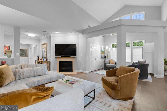 8820 Shining Oceans Way Unit 407, Columbia, MD 21045 - living room with light wood-style floors, lofted ceiling, a fireplace, and ornamental molding