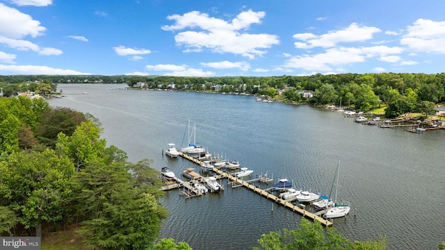 1328 Hollow Glen Ct, Curtis Bay, MD 21226 - aerial view of a large body of water and a marina