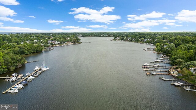 1328 Hollow Glen Ct, Curtis Bay, MD 21226 - bird's eye view of a large body of water and a marina