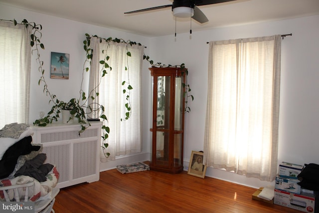 527 N 25th St, Reading, PA 19606 - entrance foyer featuring a ceiling fan, radiator, and wood finished floors