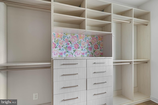 18234 Highwood Dr, Rehoboth Beach, DE 19971 - view of spacious closet