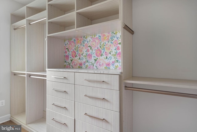 18234 Highwood Dr, Rehoboth Beach, DE 19971 - view of spacious closet