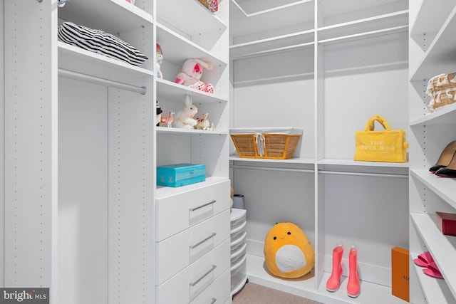 18234 Highwood Dr, Rehoboth Beach, DE 19971 - view of walk in closet